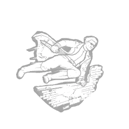 Superior Anatomy perk icon