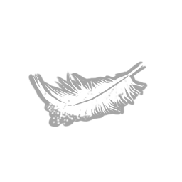 Lightweight perk icon